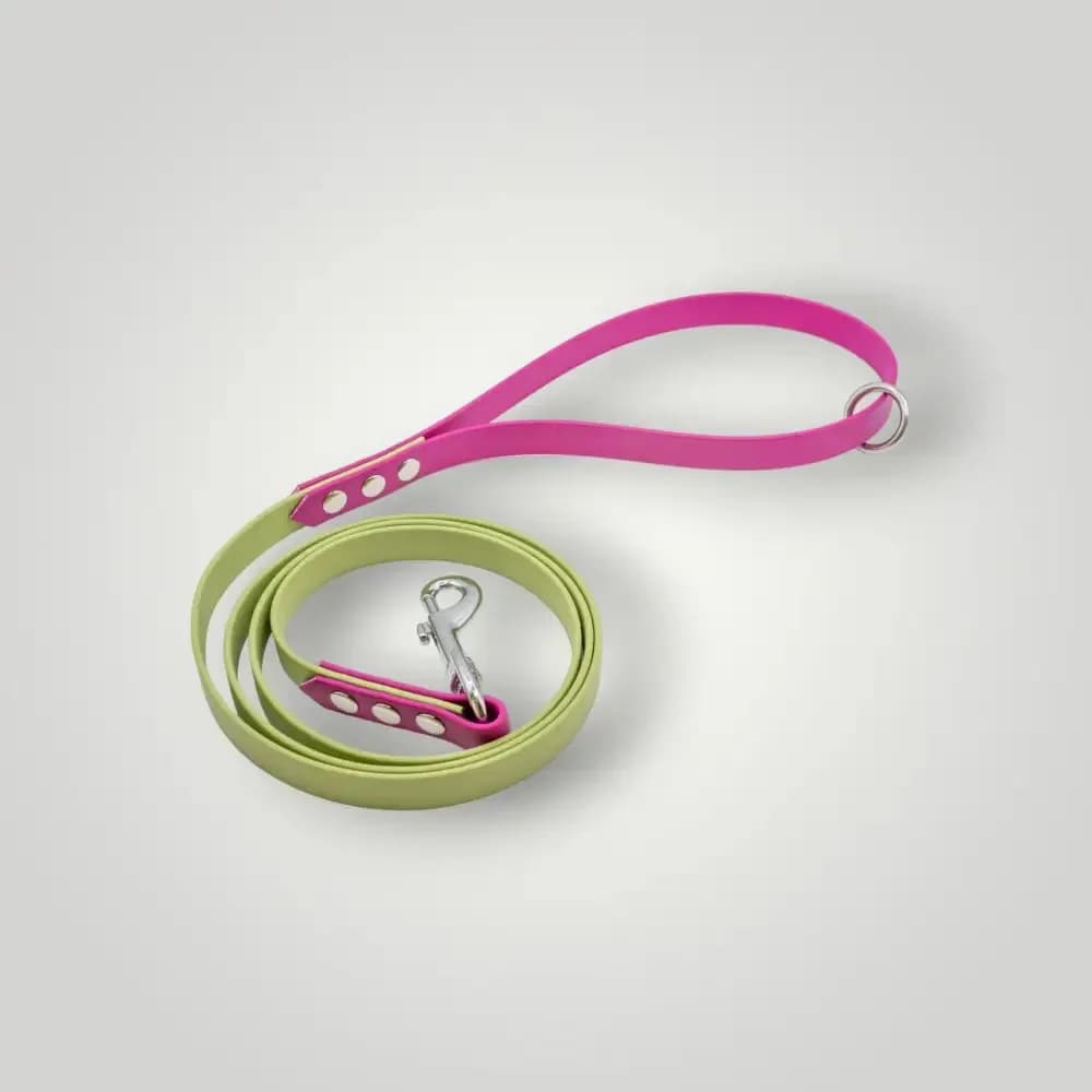 2-Farbige Biothane Leine, 1,60 m fixe Länge
