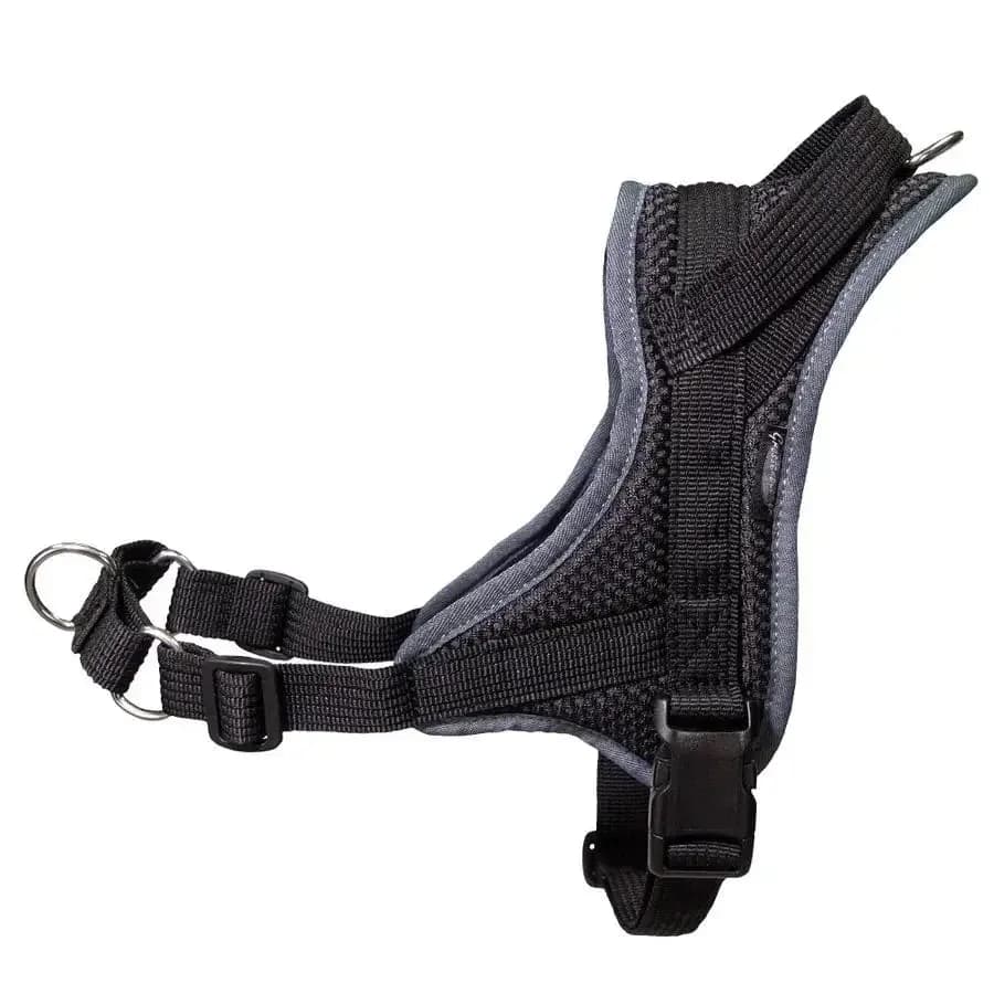 Beat Grossenbacher Ausbildungsgeschirr Guide