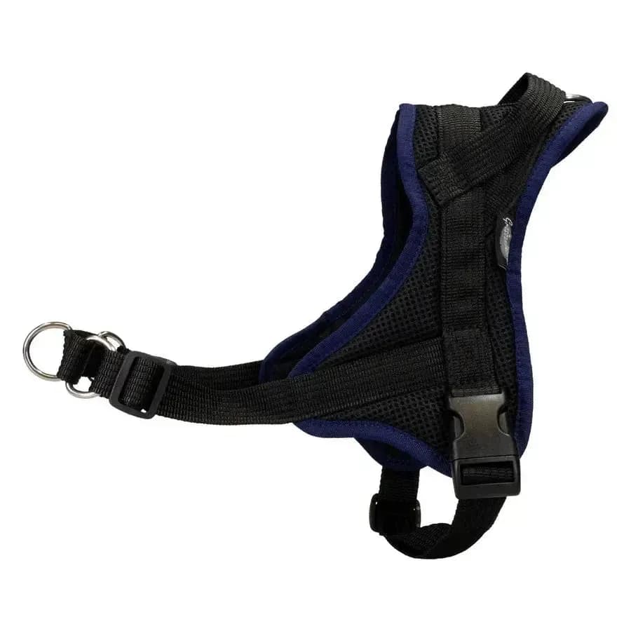 Beat Grossenbacher Ausbildungsgeschirr Guide