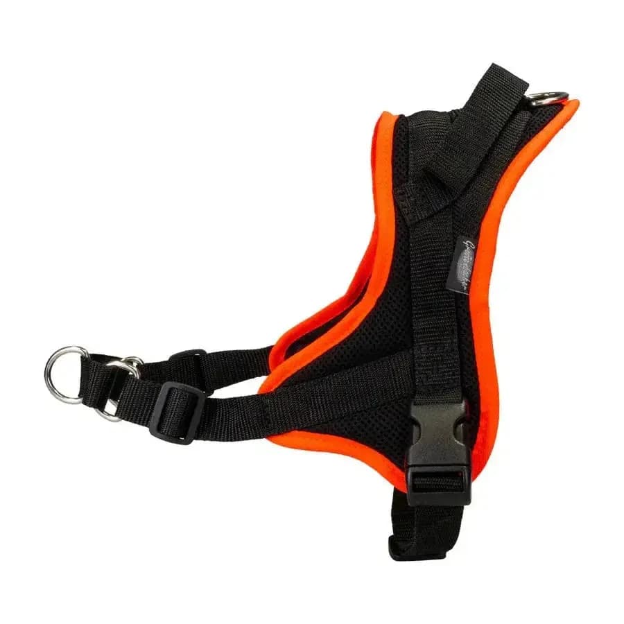 Beat Grossenbacher Ausbildungsgeschirr Guide