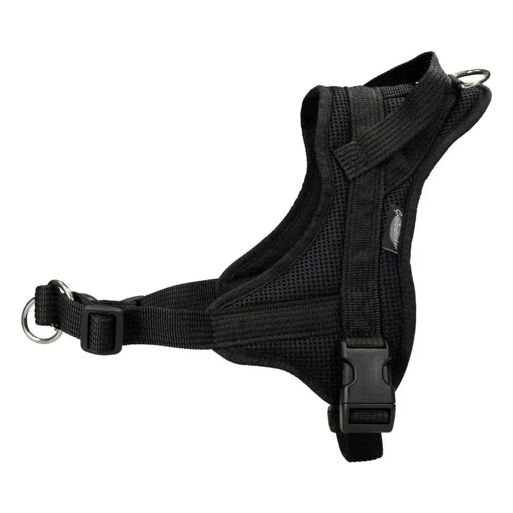 Beat Grossenbacher Ausbildungsgeschirr Guide