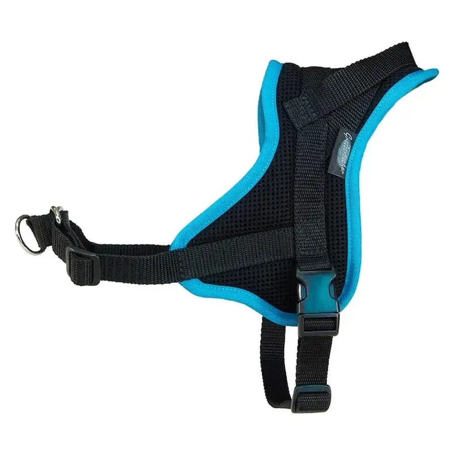 Beat Grossenbacher Ausbildungsgeschirr Guide