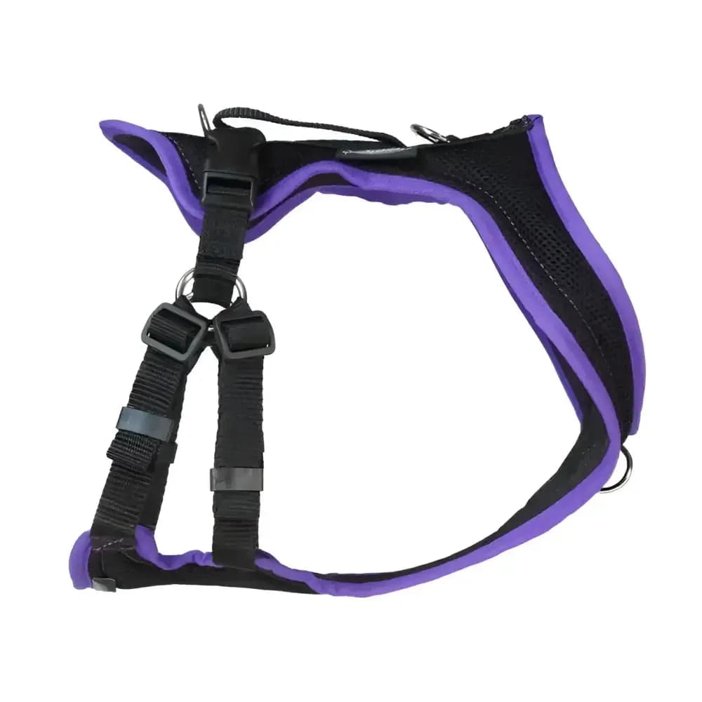 Beat Grossenbacher Ausbildungsgeschirr PROGuide