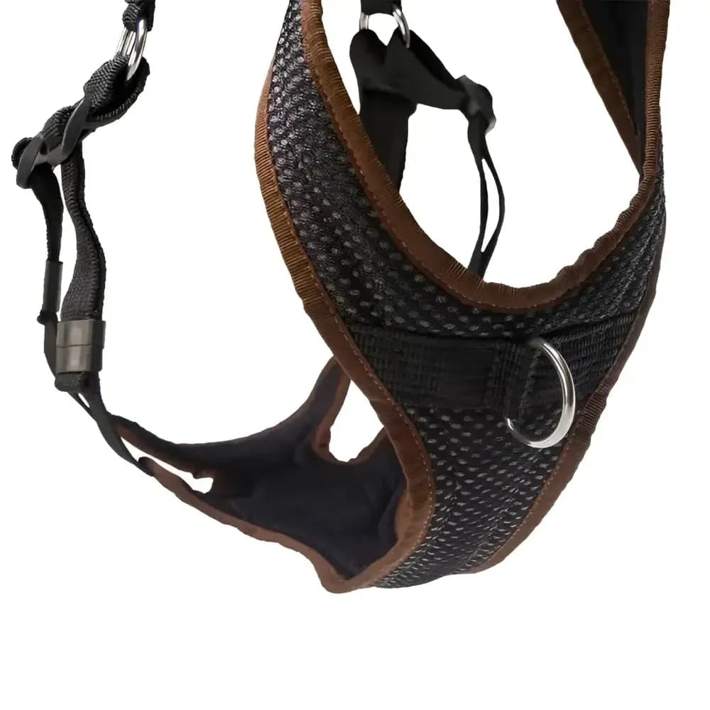 Beat Grossenbacher Ausbildungsgeschirr PROGuide