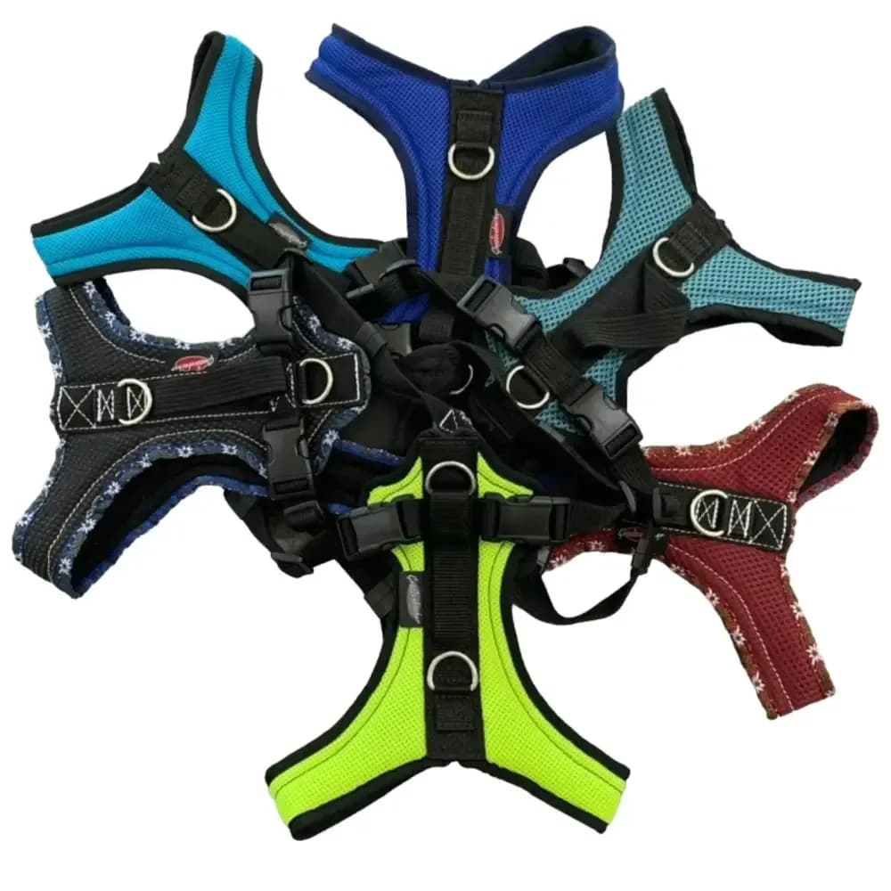 Beat Grossenbacher Dogs Fun Run Hundegeschirr