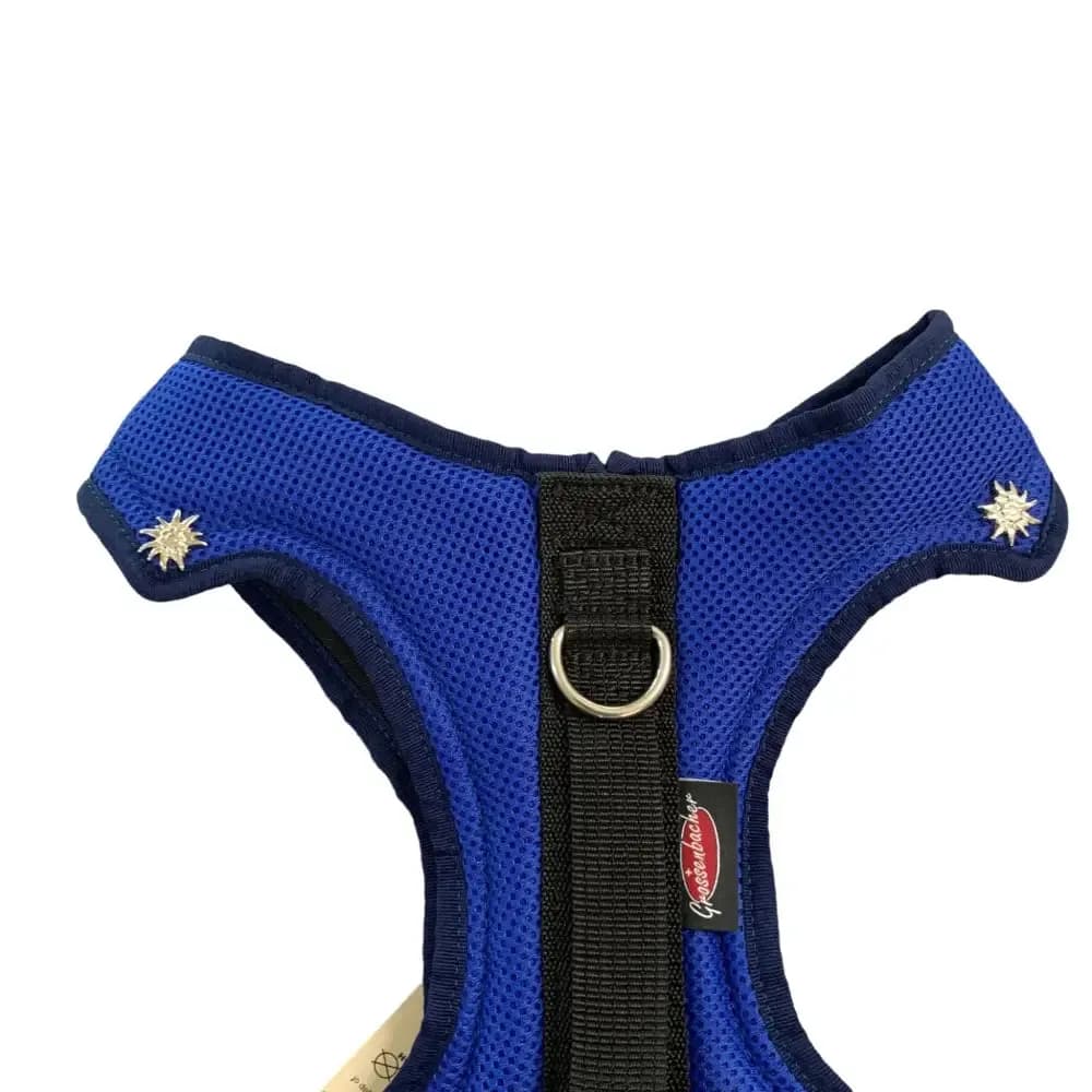 Beat Grossenbacher Dogs Fun Run Hundegeschirr Mutz Royalblau