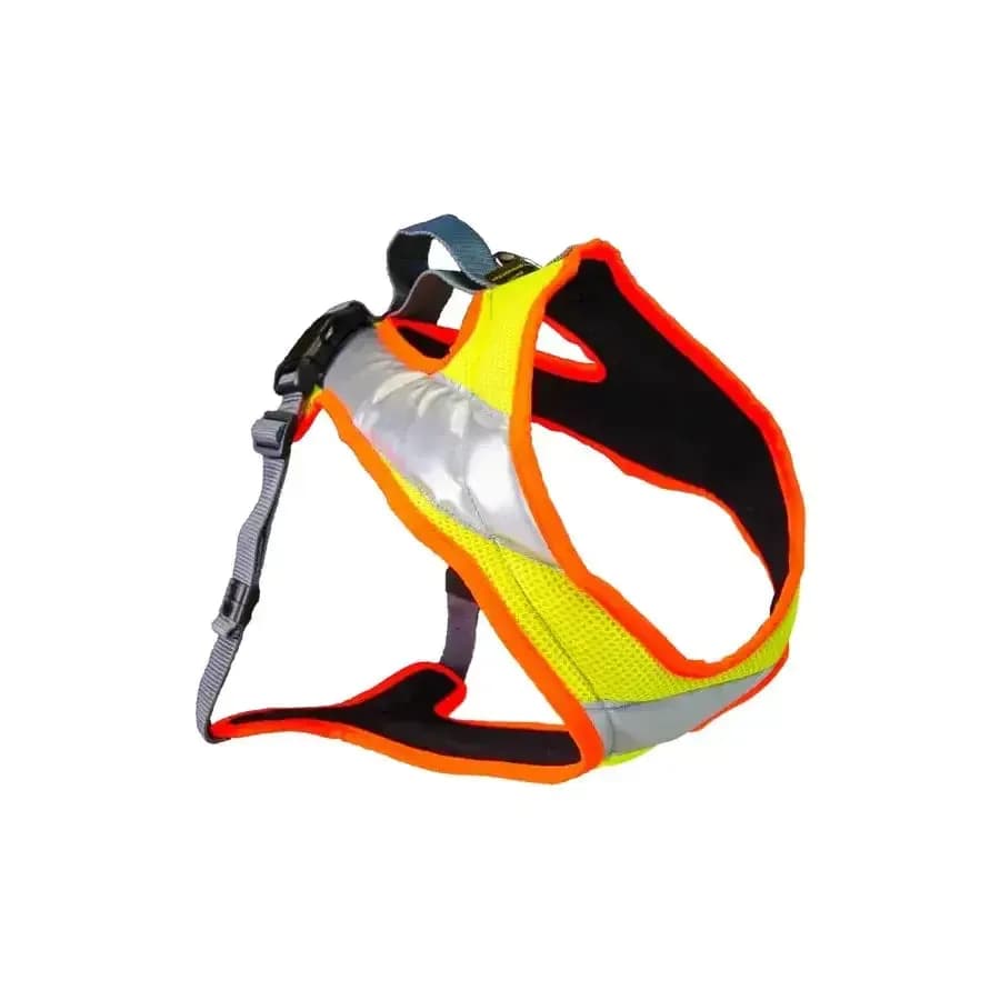 Beat Grossenbacher Dog`s Fun Run Night