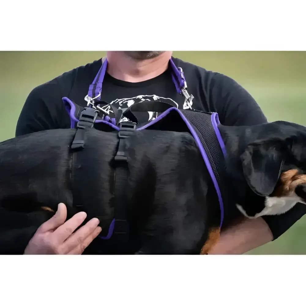 Beat Grossenbacher Dog`s Fun Run Support