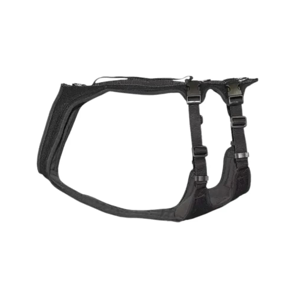 Beat Grossenbacher Dog`s Fun Run Support