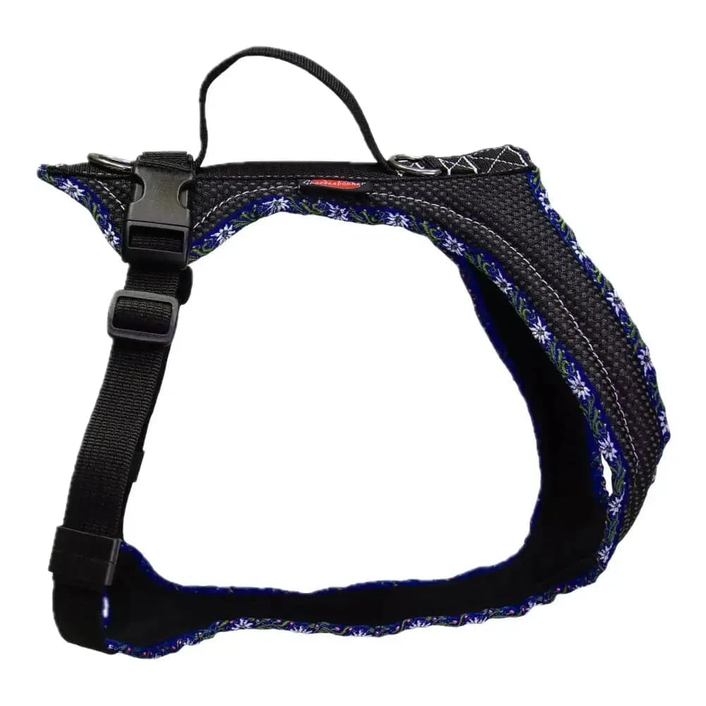 Beat Grossenbacher Hundegeschirr Dogs Fun Run Blau Edelweiss