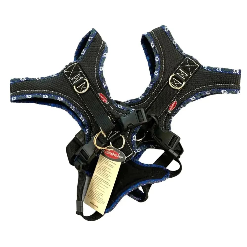 Beat Grossenbacher Hundegeschirr Dogs Fun Run Blau Edelweiss