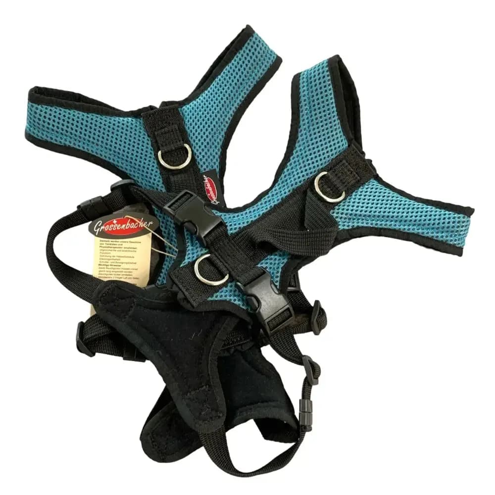 Beat Grossenbacher Hundegeschirr Dogs Fun Run Petrol