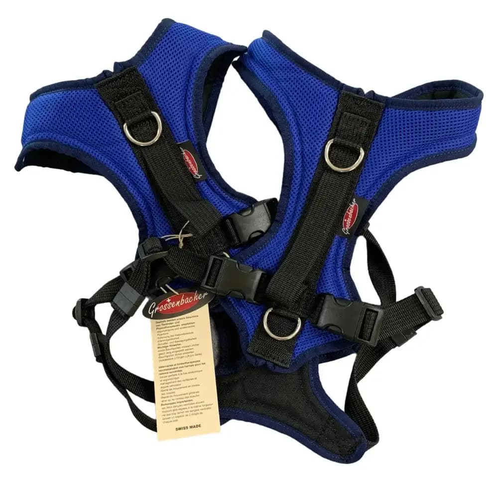 Beat Grossenbacher Hundegeschirr Dogs Fun Run Royalblau