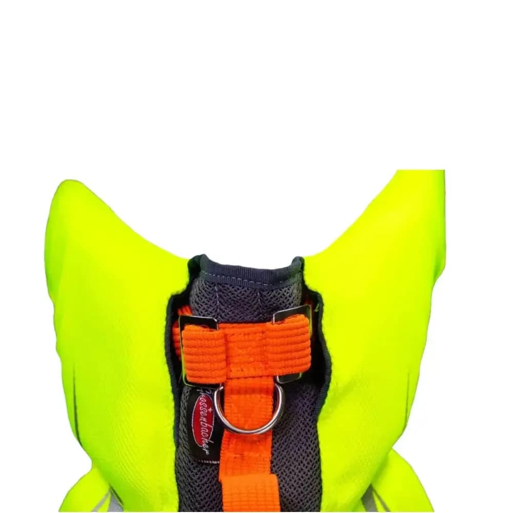 Beat Grossenbacher Hundeschwimmweste