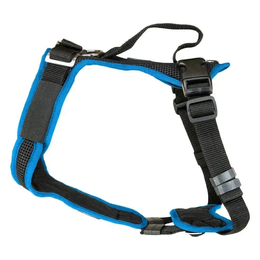 Beat Grossenbacher Vary Hundegeschirr