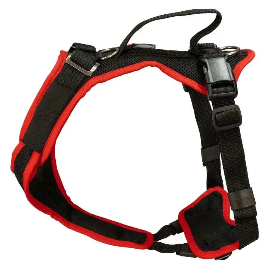 Beat Grossenbacher Vary Hundegeschirr