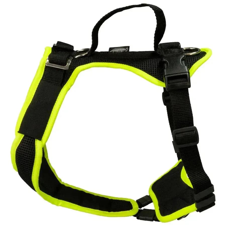 Beat Grossenbacher Vary Hundegeschirr