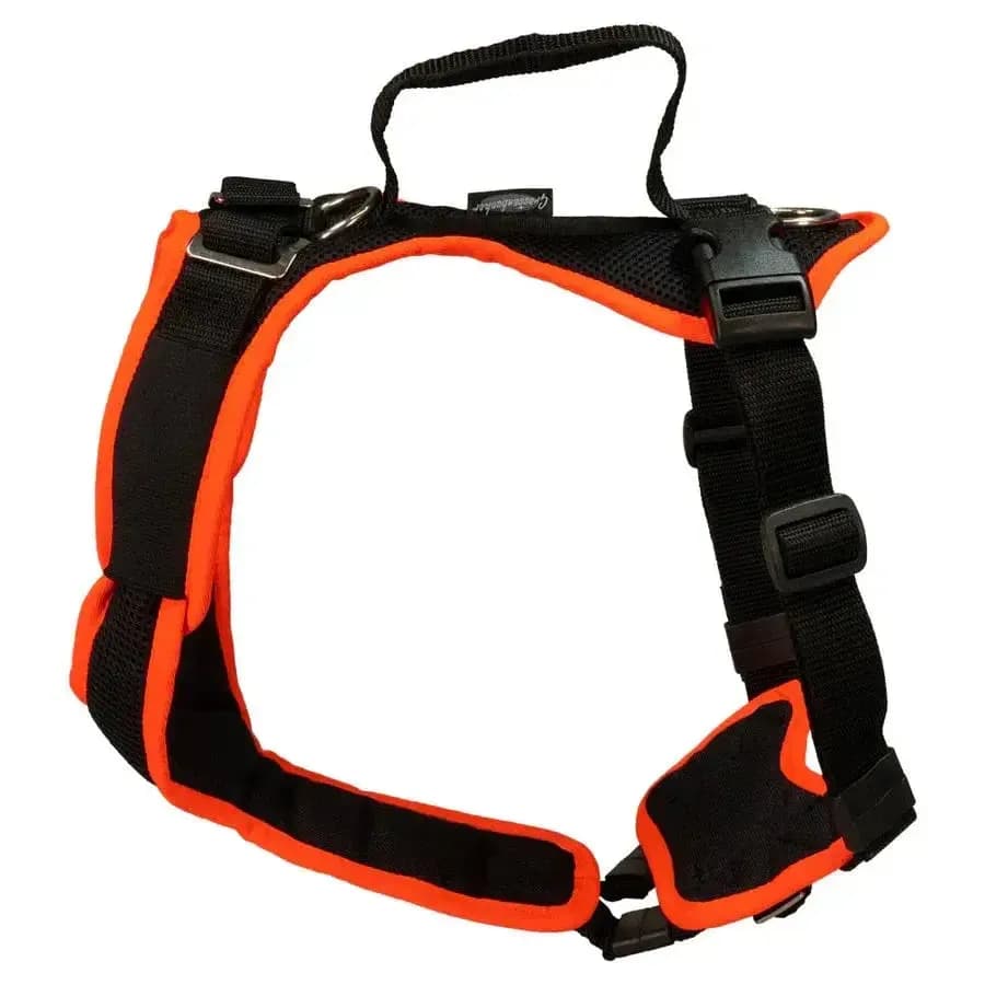 Beat Grossenbacher Vary Hundegeschirr