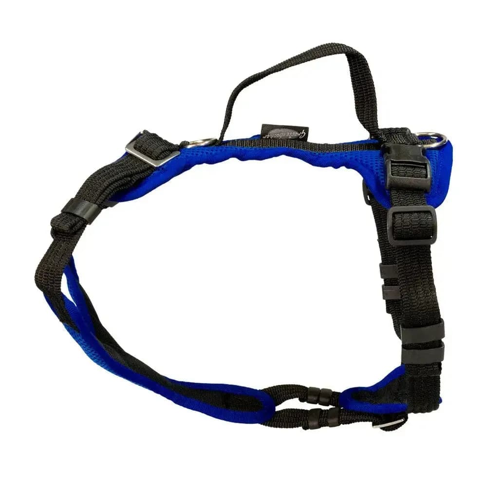 Beat Grossenbacher Welpengeschirr Popp-IT