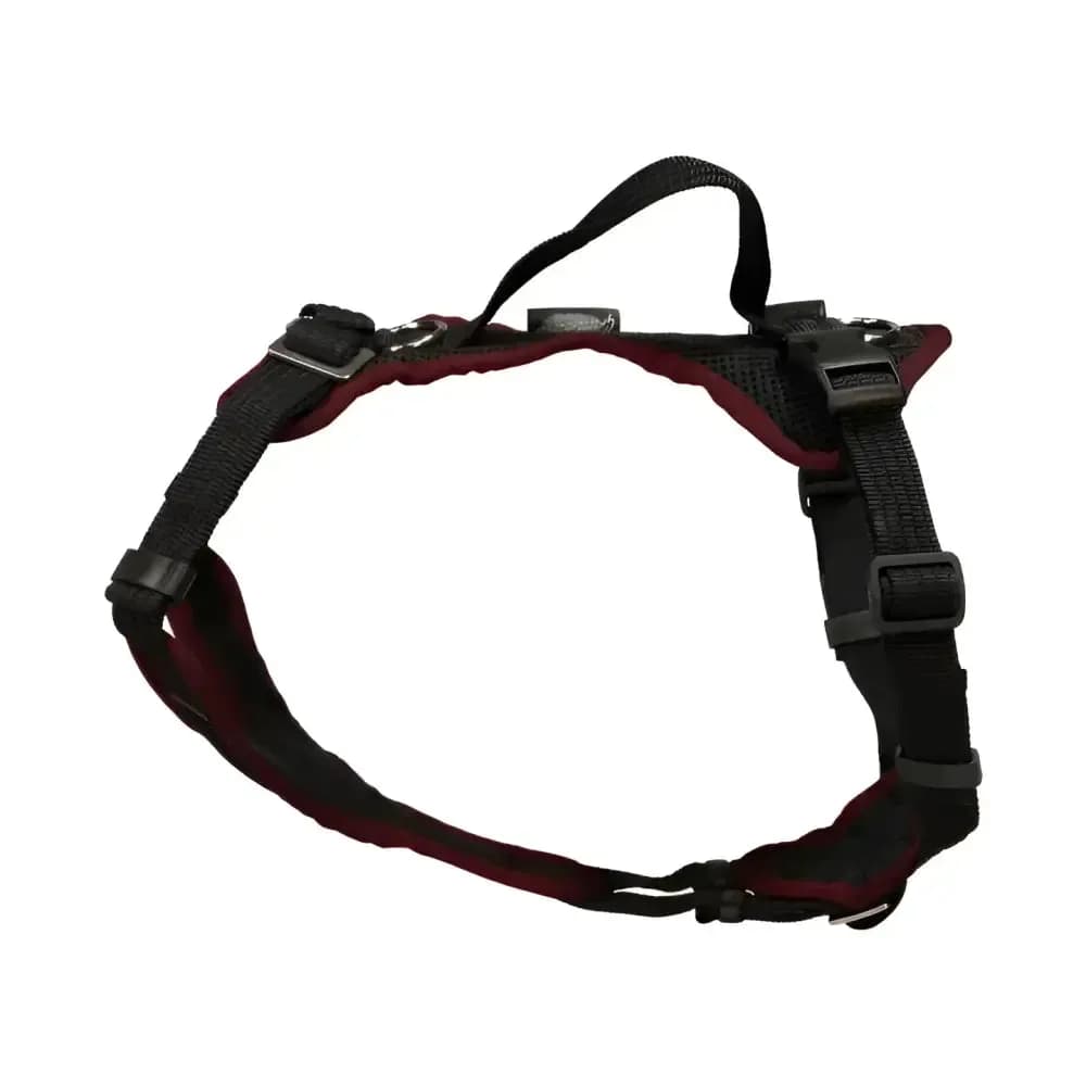 Beat Grossenbacher Welpengeschirr Popp-IT