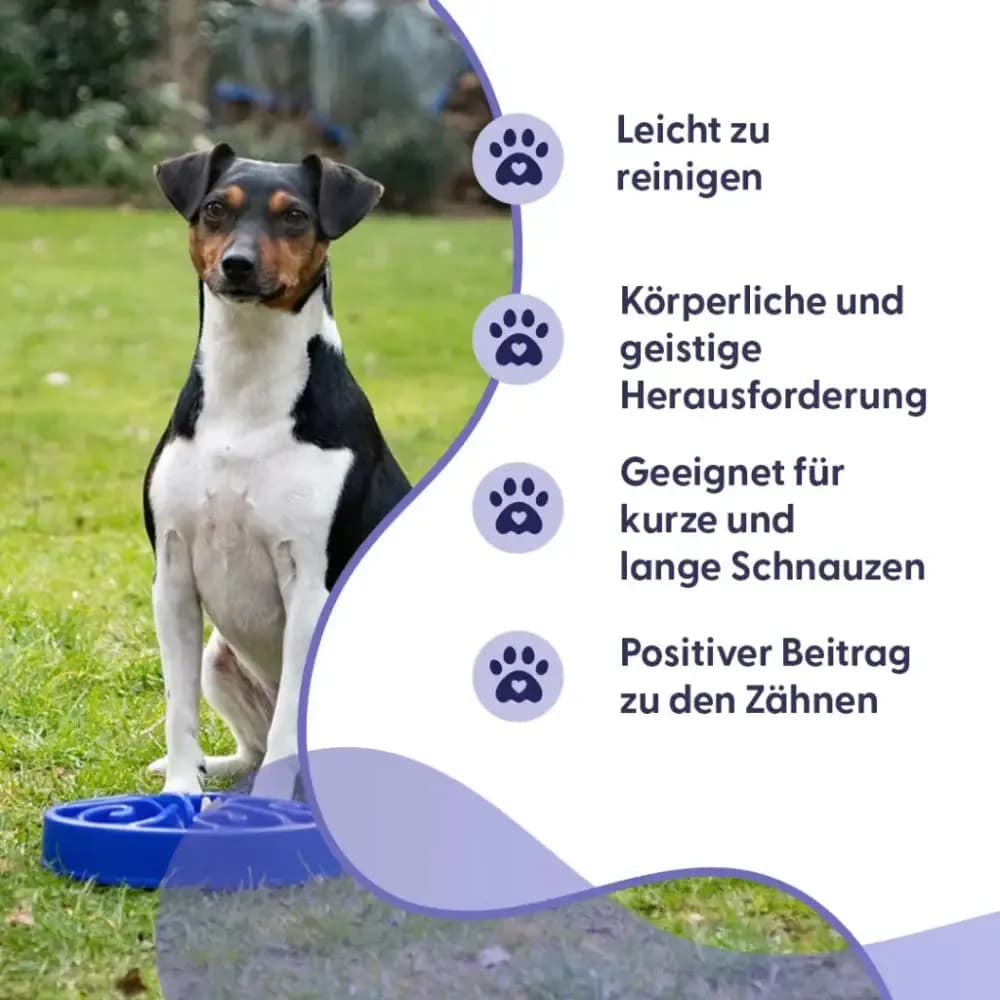 Eat Slow Live Longer Anti Schling-Napf