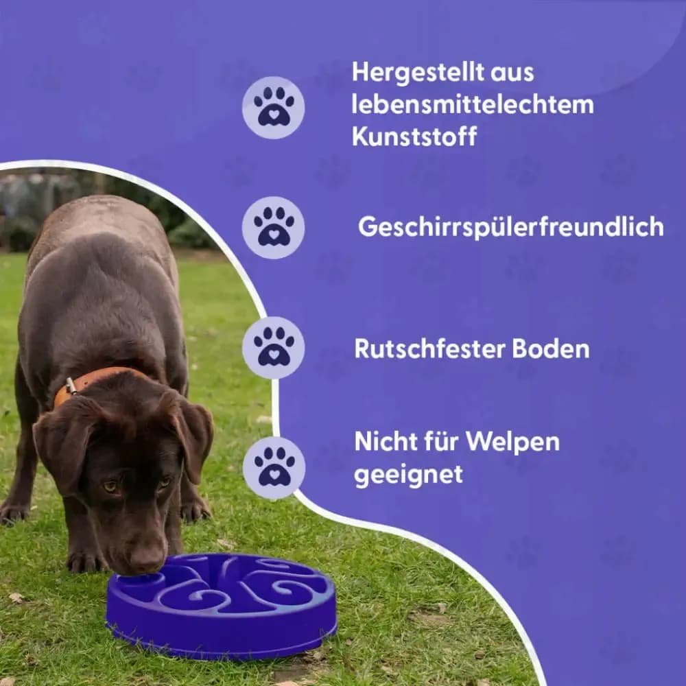 Eat Slow Live Longer Anti Schling-Napf