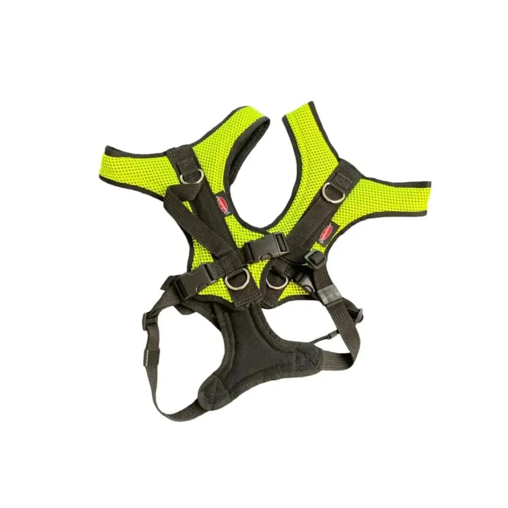 Hundegeschirr Dogs Fun Run Leuchtgelb