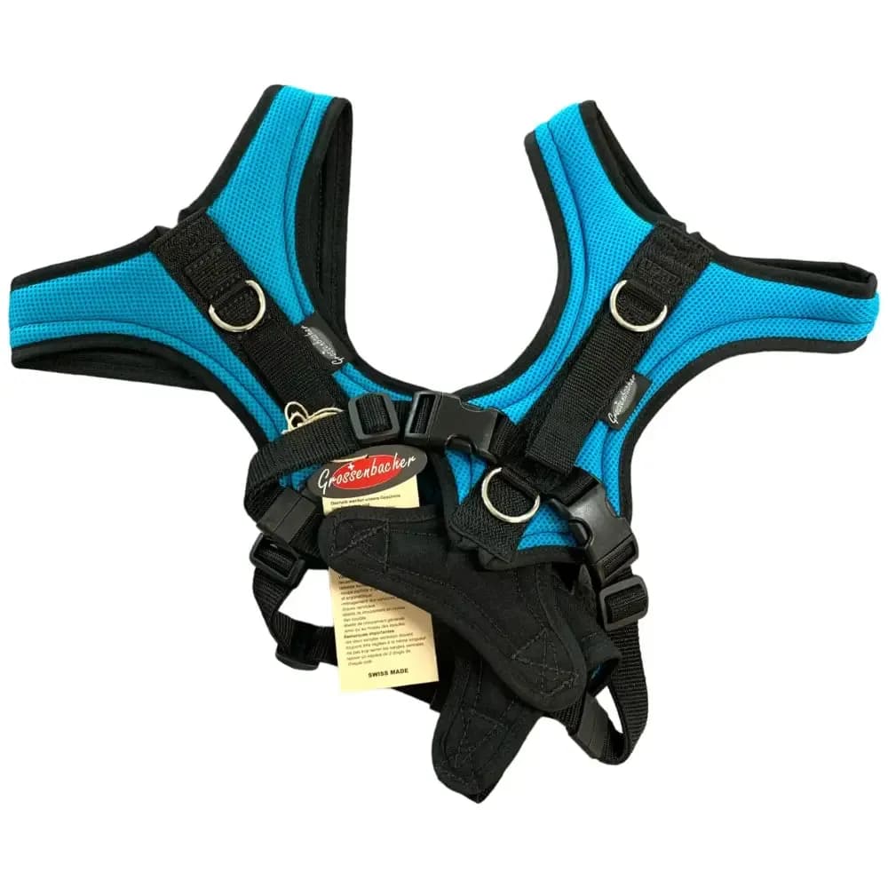 Hundegeschirr Dogs Fun Run Türkis