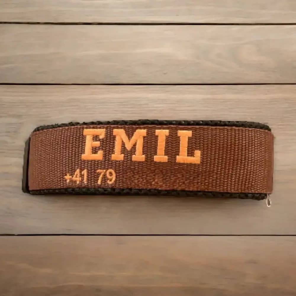 Hundehalsband mit FIDLOCK® V-Buckle Magnetverschluss