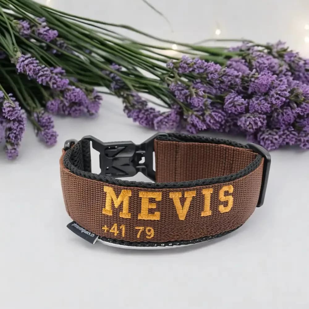 Hundehalsband mit FIDLOCK® V-Buckle Magnetverschluss