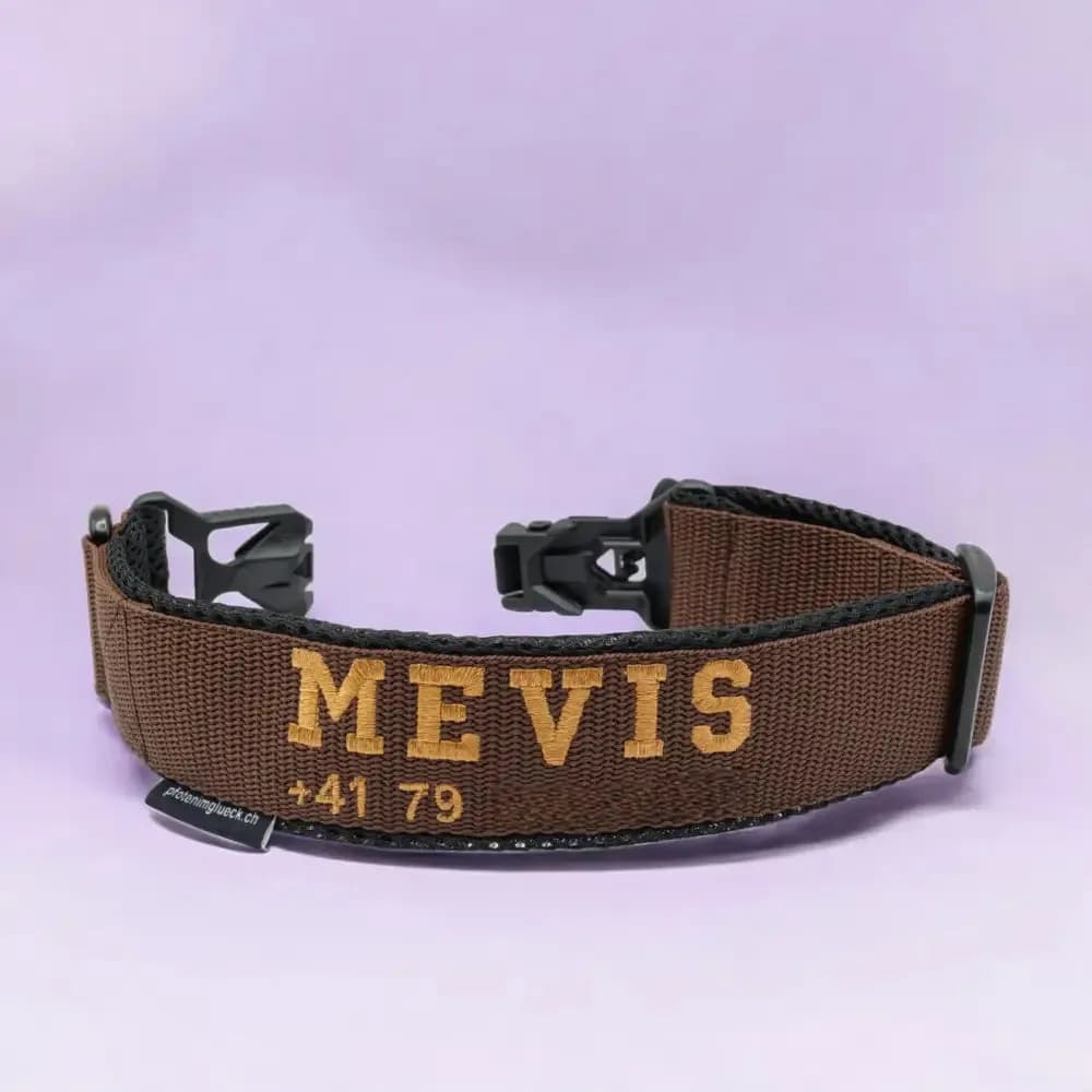 Hundehalsband mit FIDLOCK® V-Buckle Magnetverschluss