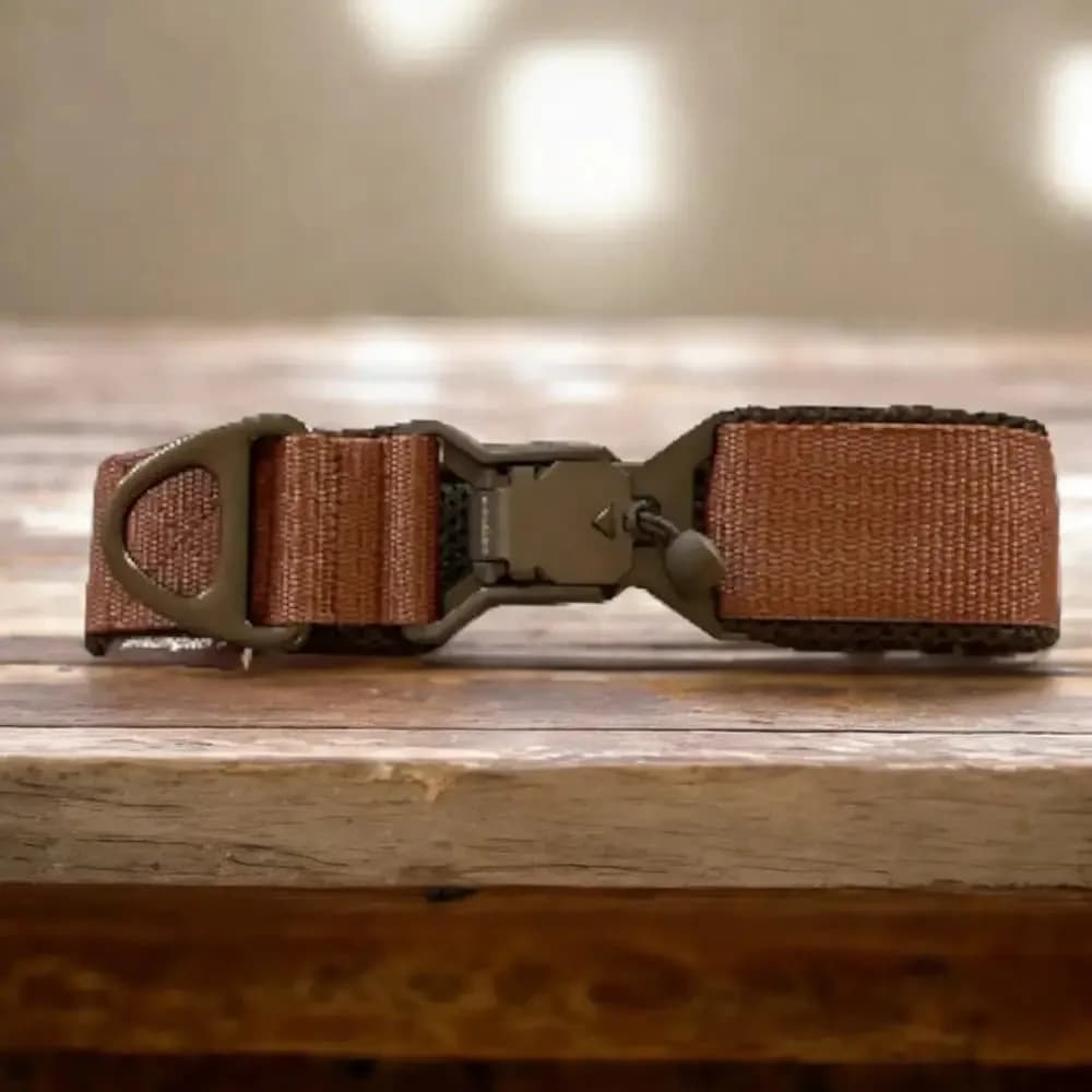Hundehalsband mit FIDLOCK® V-Buckle Magnetverschluss