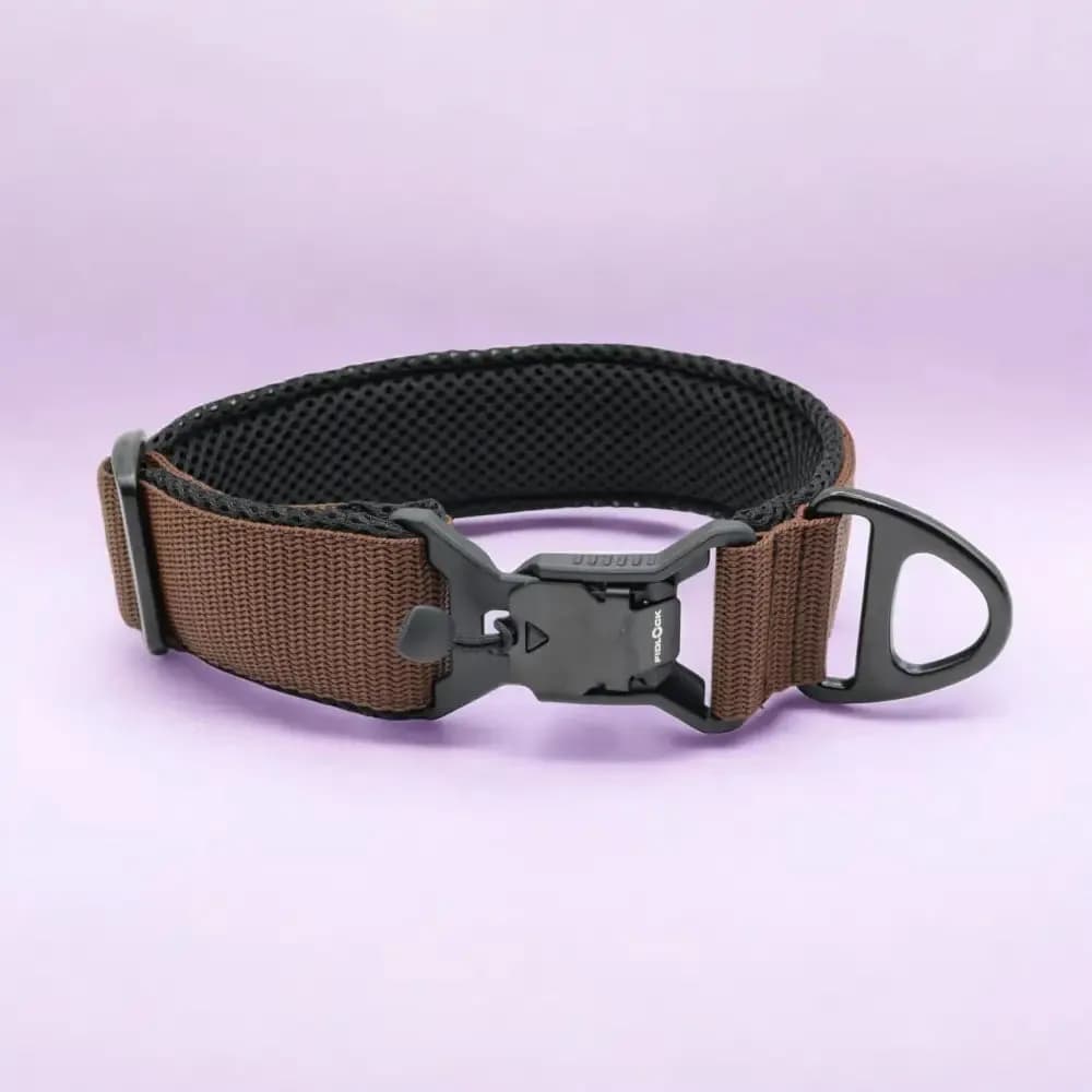 Hundehalsband mit FIDLOCK® V-Buckle Magnetverschluss