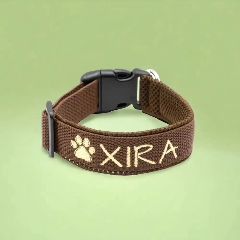 Hundehalsband mit Namen