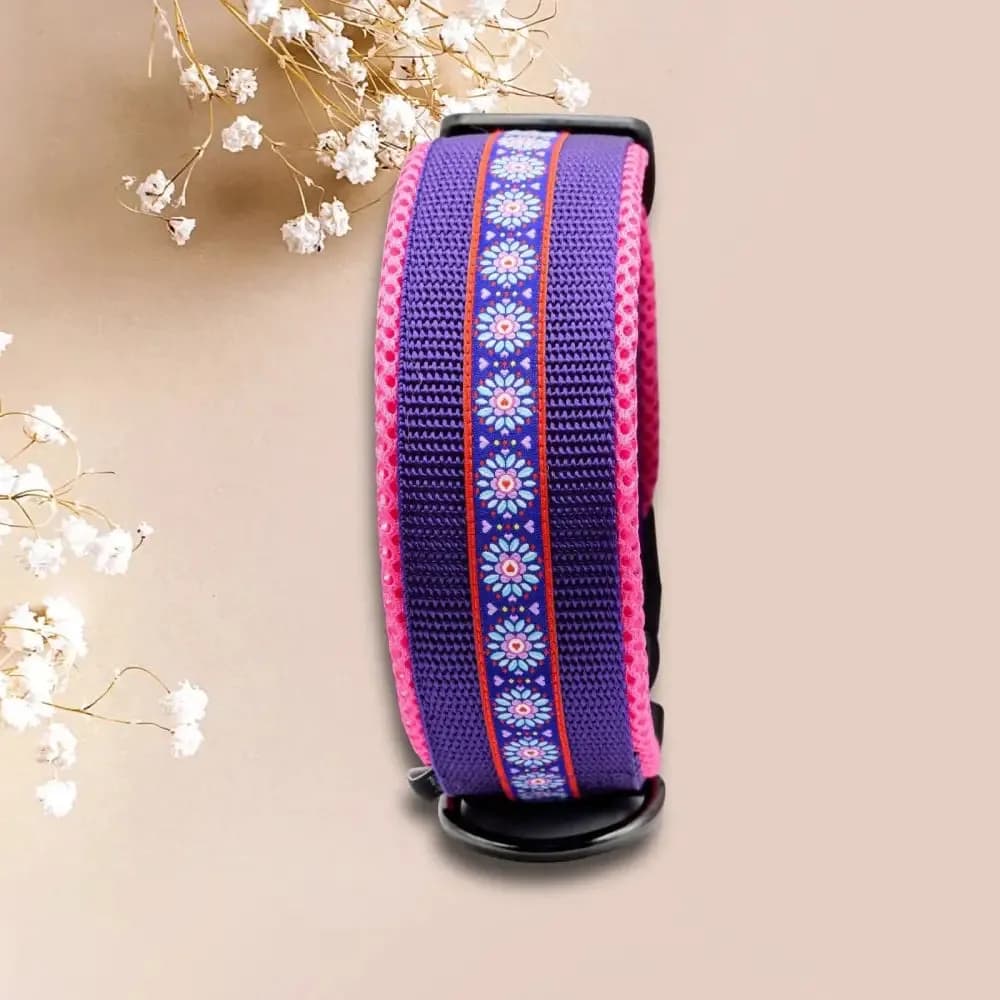 Hundehalsband mit Webband