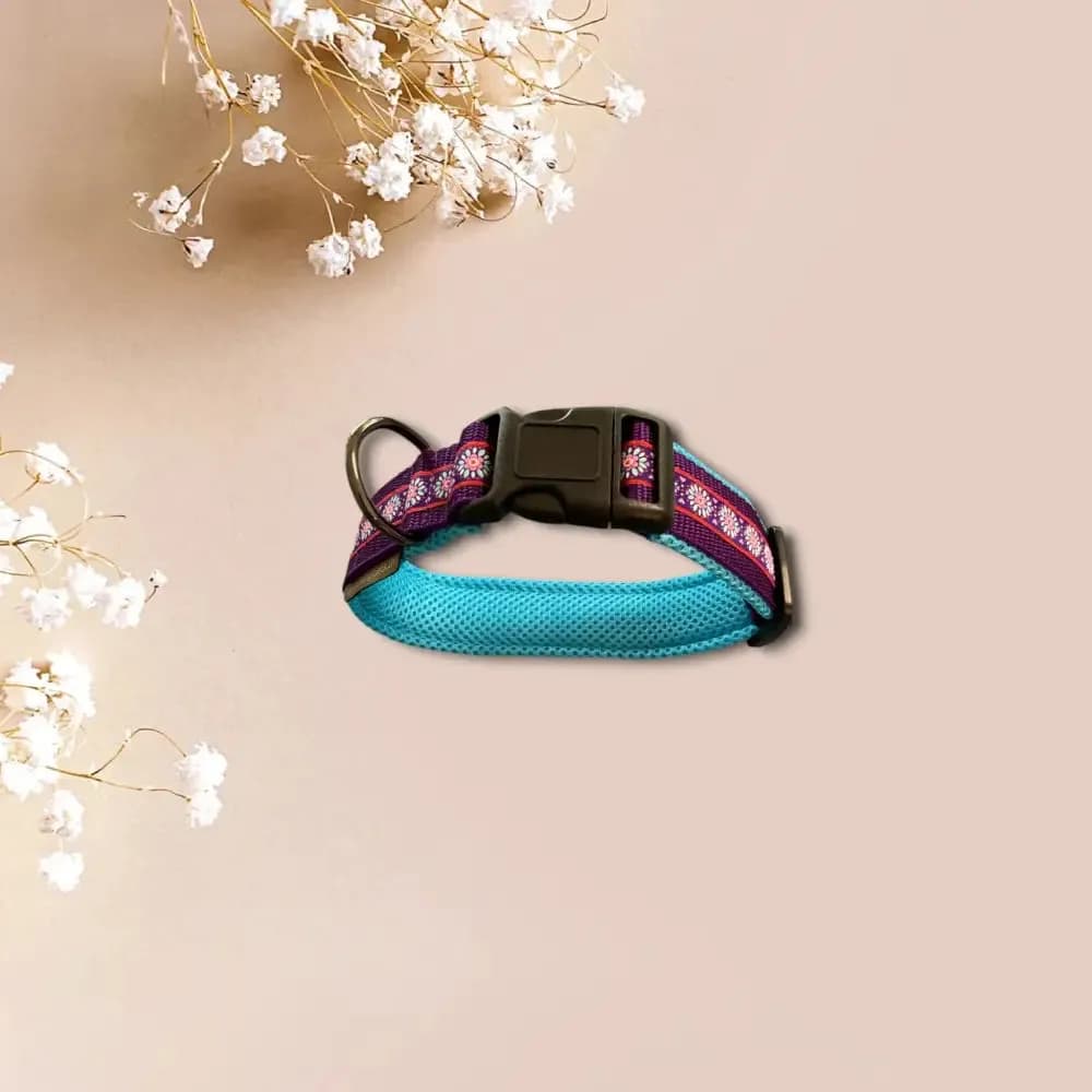 Hundehalsband mit Webband