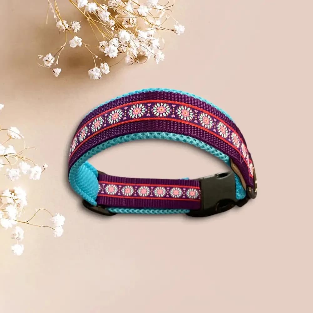 Hundehalsband mit Webband