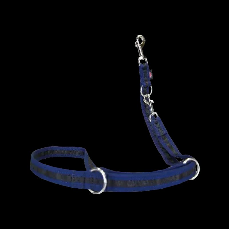 Hundeleine eingefasst von Beat Grossenbacher