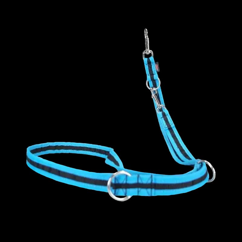 Hundeleine eingefasst von Beat Grossenbacher