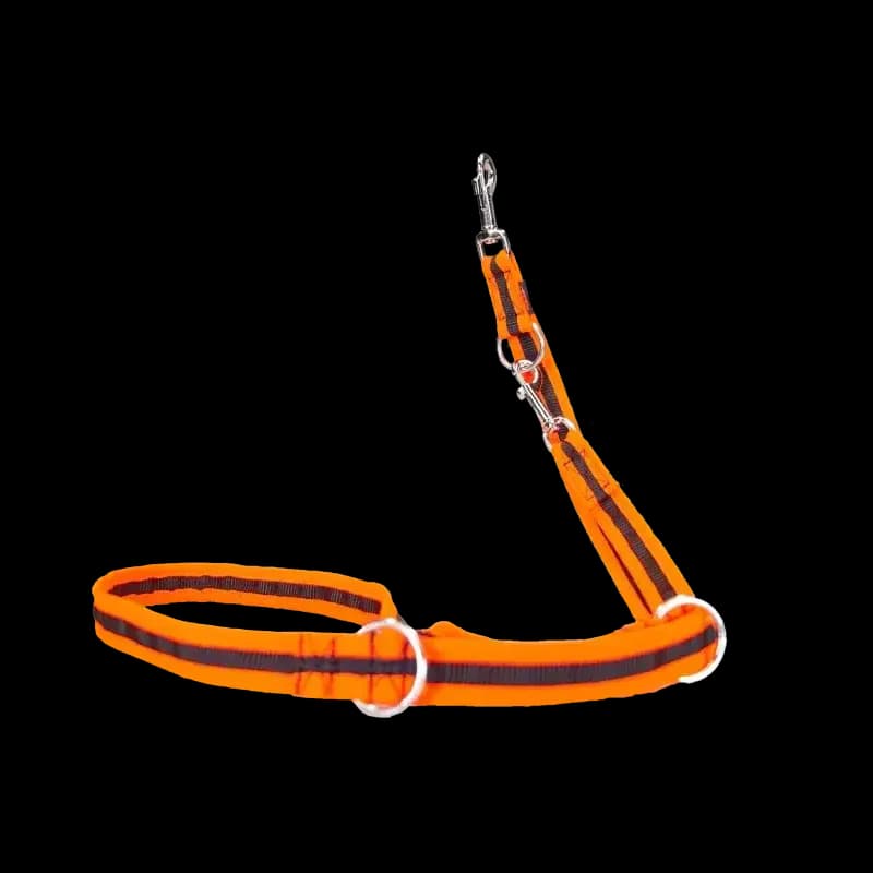 Hundeleine eingefasst von Beat Grossenbacher