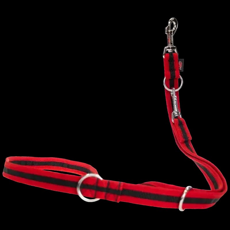 Hundeleine eingefasst von Beat Grossenbacher