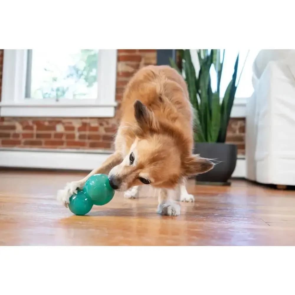 Hundespielzeug Outward Hound Double-Tuff 2-in-1