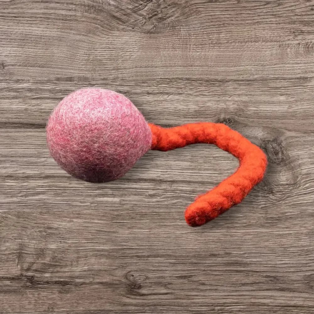 Jumping Schleuder-Filzball aus regionaler Bio-Schurwolle