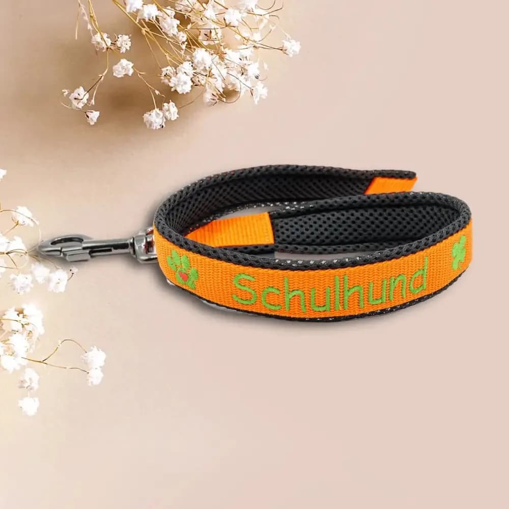 Kurzführer Leine "Dein Design"