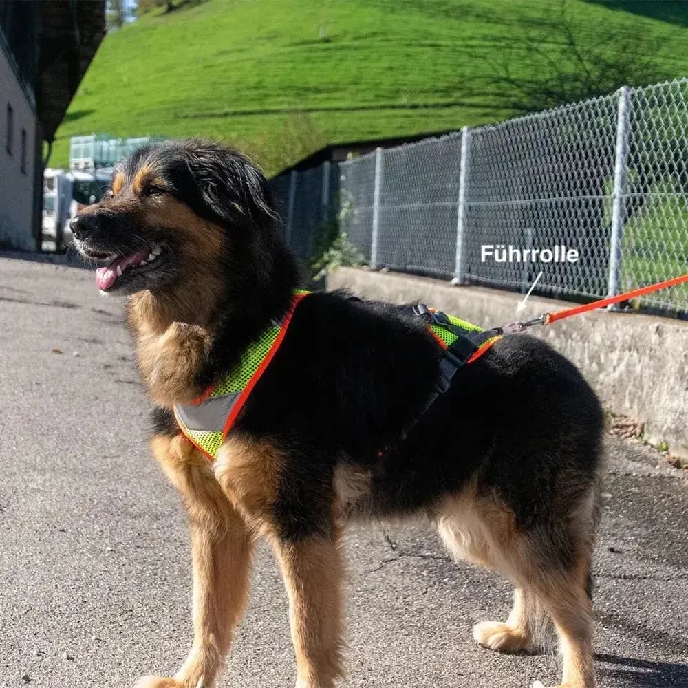 Mantrailing-Geschirr V mit Reflektor