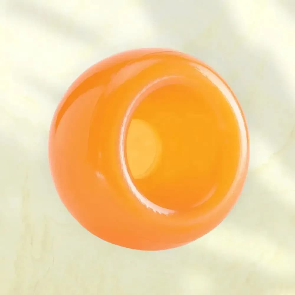 Outward Hound Orbee-Tuff Snoop - Preisgekröntes, interaktives Leckerli-Spielzeug