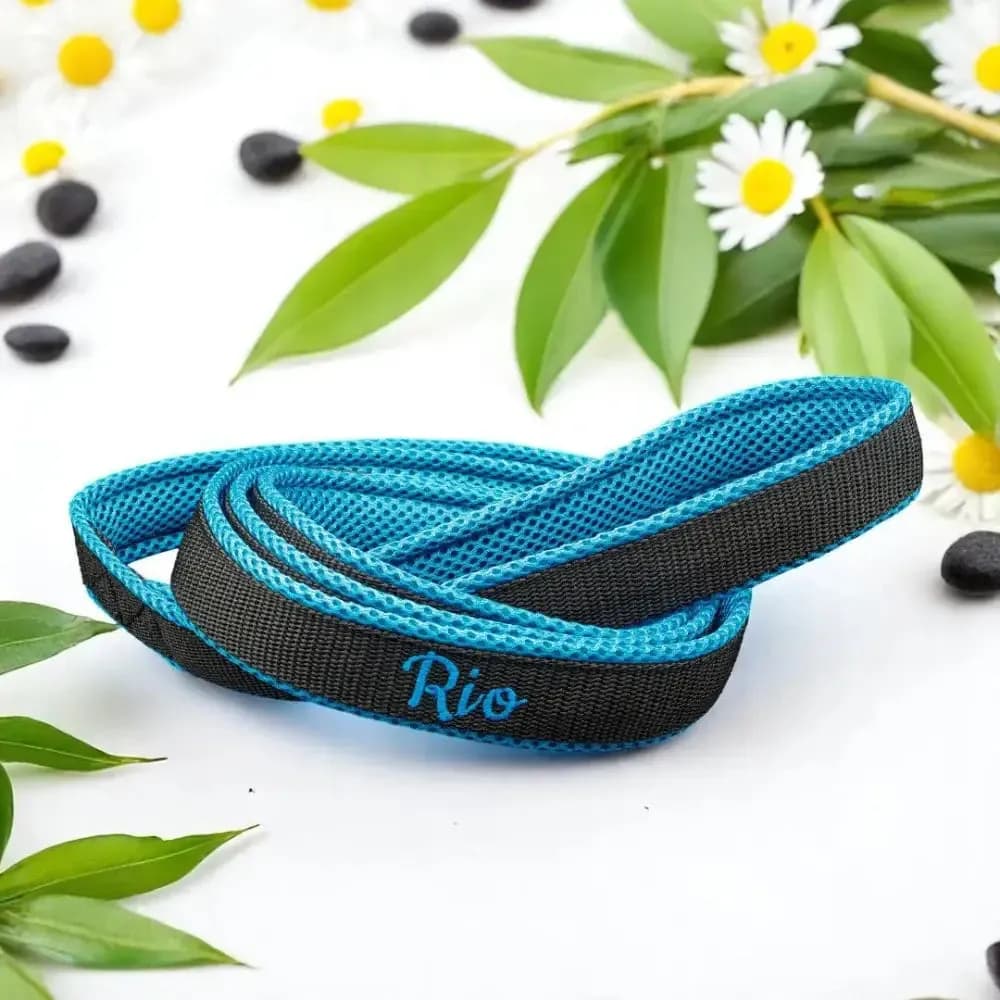 Personalisierbare Retrieverleine für Hundesport