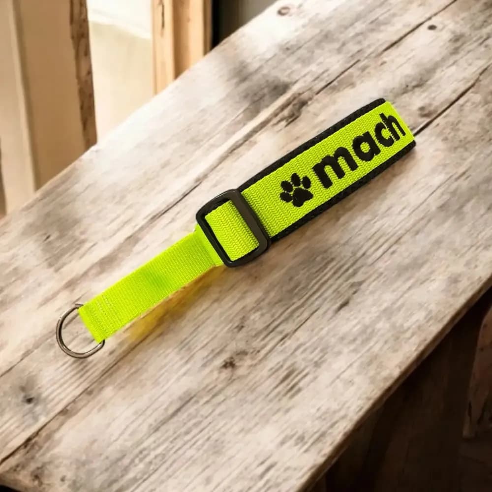 Personalisiertes Zugstopp Halsband für Hunde