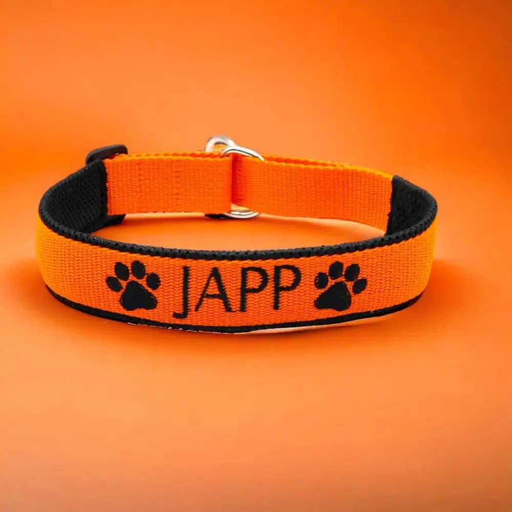 Personalisiertes Zugstopp Halsband für Hunde