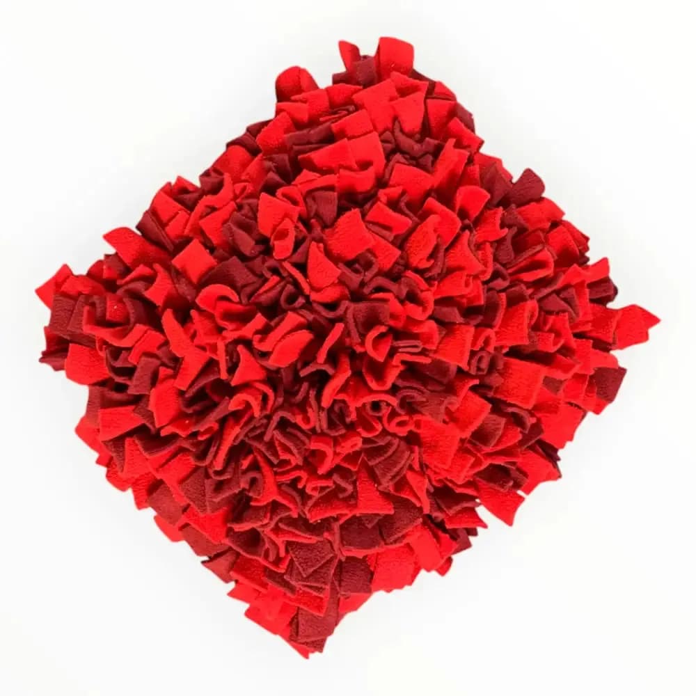 Schnüffelteppich für Hunde